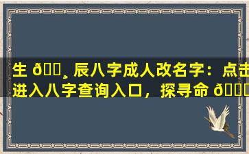 生 🕸 辰八字成人改名字：点击进入八字查询入口，探寻命 🍀 运密码！